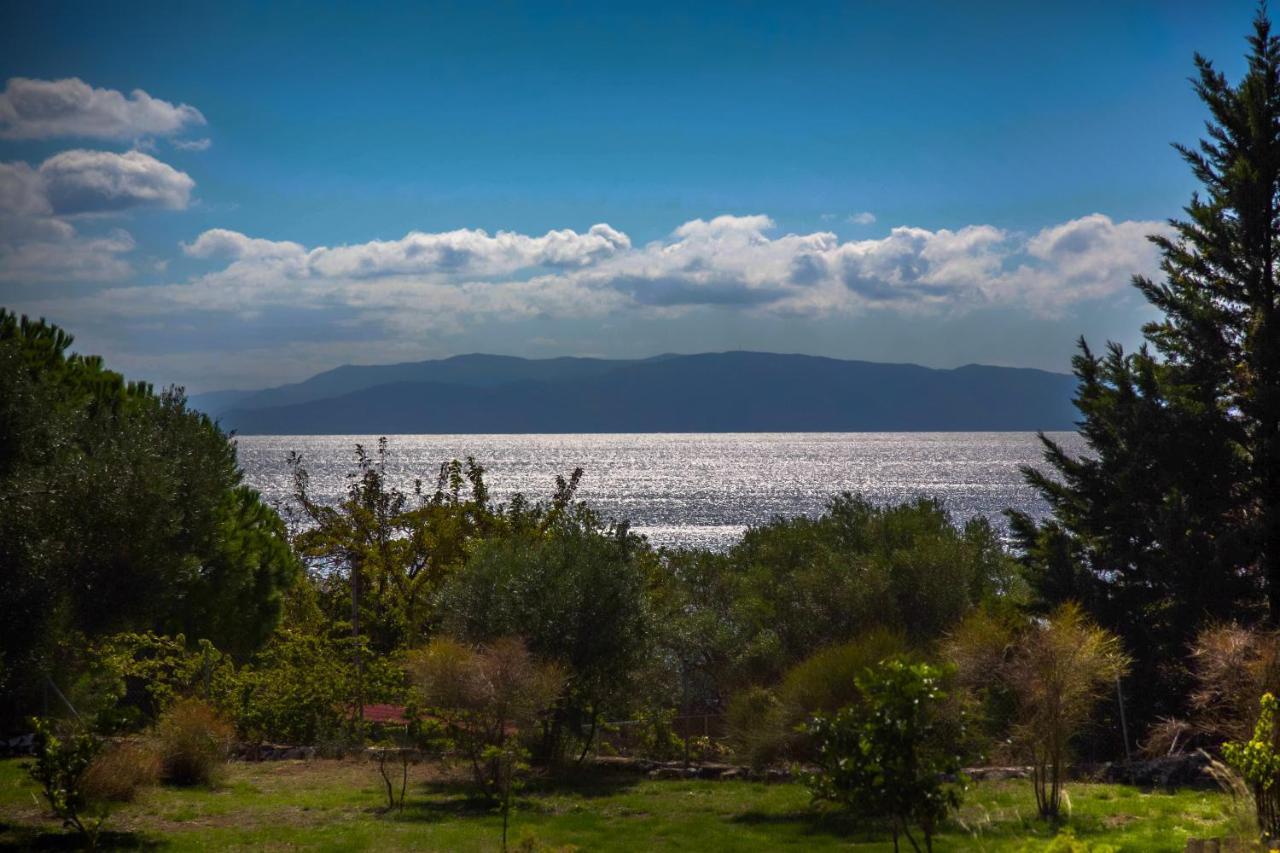 Driftwood Villa Karavádhos Екстериор снимка