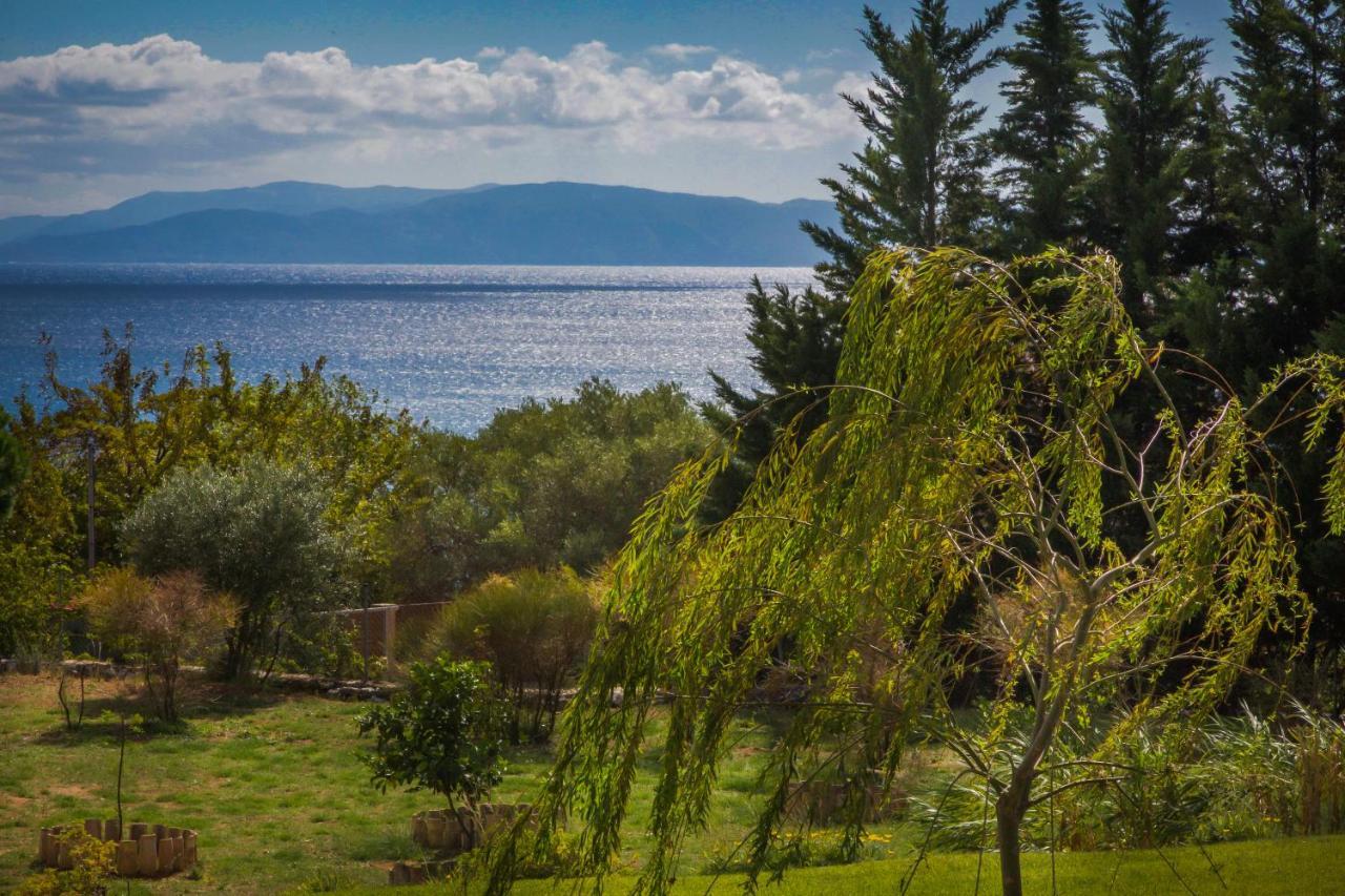 Driftwood Villa Karavádhos Екстериор снимка